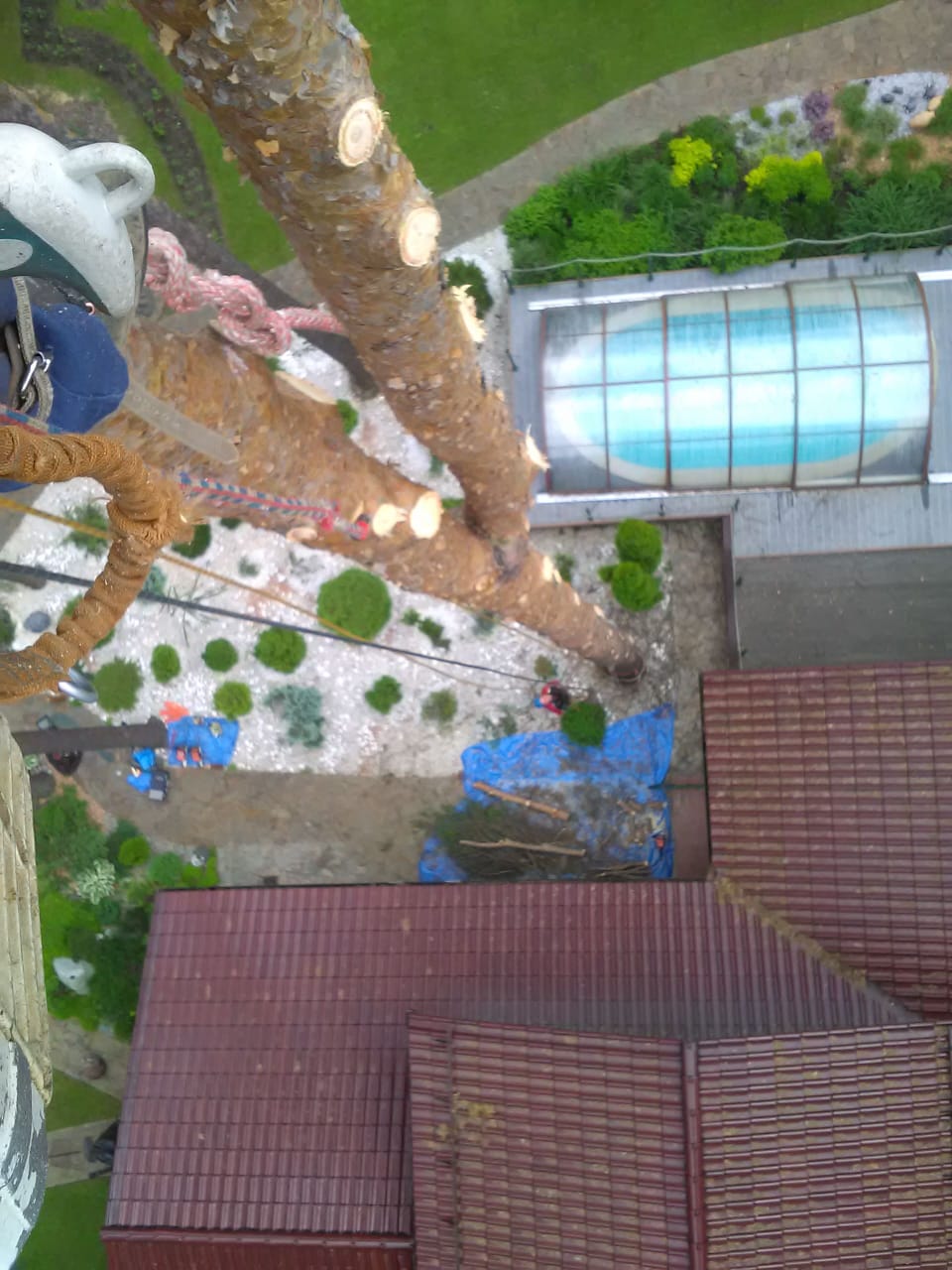 Удаление дерева в коттеджном поселке