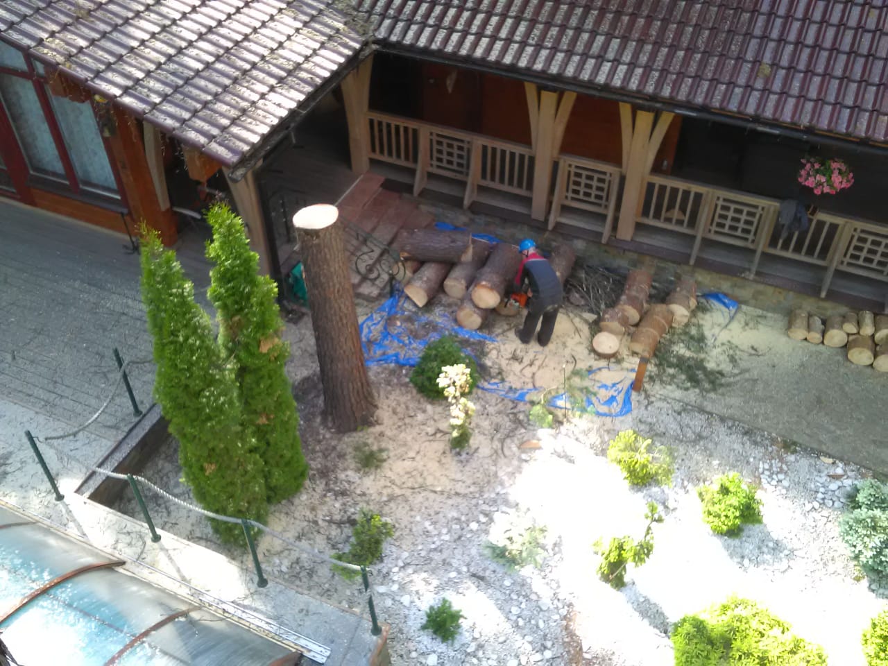 Скульптура из дерева