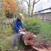 распиливаем на транспортабельные куски