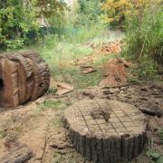 на пне выполнена сетка желобков для более быстрого сгнивания
