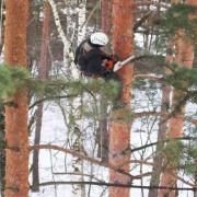 обрезка ветвей и сучьев альпинистом