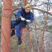 каблинг - система тросов, поддерживающих ствол или ветви дерева