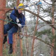 каблинг применяется при угрозе механических повреждений дереву от внешних воздействующих факторов (снег, ветер и т. д.)