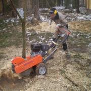 при измельчении пень превращается в цепу