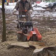 пень измельчается на глубину максимум 30 см