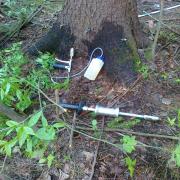 Инструмент для проведения стволовых инъекций без сверления. В ствол дерева забиваются специальные клапанные иглы, через которые плунжерным шприцем вводится препарат. 