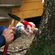 Установка клапана для стволовых инъекций. 