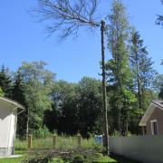 сброс макушки на подушку из веток