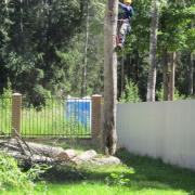 благодаря подушке из веток газон не портится