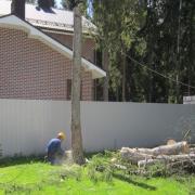 валочный запил