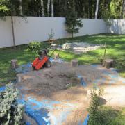 после удаления пня