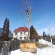 Дерево стоит у забора, рядом линия электропередач. Приступаем к уда