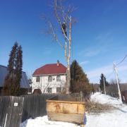 удаление верхушики дерева