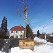 удаление дерева по частям