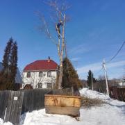 удаление дерева по частям с завешиванием