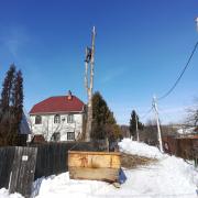 удаление ствола дерева по частям