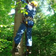 подъём на соседнее дерево для организации спусковой базы