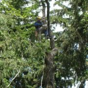 завешивание макушки