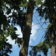 направляющий запил