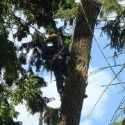 от точности запила зависит очень многое