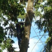 завершение направляющего запила