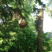 в зависимости от ситуации количество спускаемых кусков может быть разным