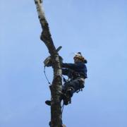 направленное падение части ствола