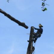 все куски падают на выделенный пятачок земли