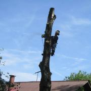 даже на большой высоте встречаются гвозди