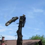 прицельное сбрасывание кусков дерева