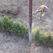 ствол должен быть полностью намочен