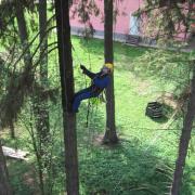 препарат не должен попадать на хвою