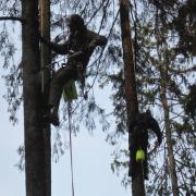 после высыхания препарат безопасен для людей (если не облизывать ствол)