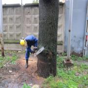 направляющий запил в большинстве случаев делается клиновидной формы