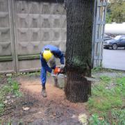 запил должен быть ровными чистым